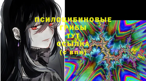 соль ск Иннополис