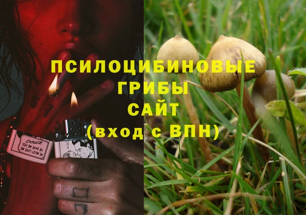 ALPHA-PVP Инсар