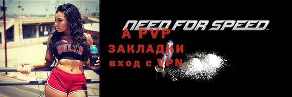 соль ск Иннополис
