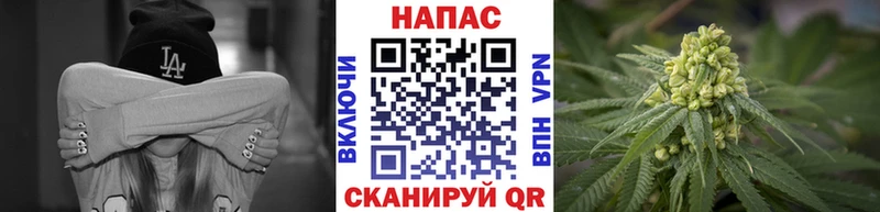 Шишки марихуана Ganja  Купить  Луга 